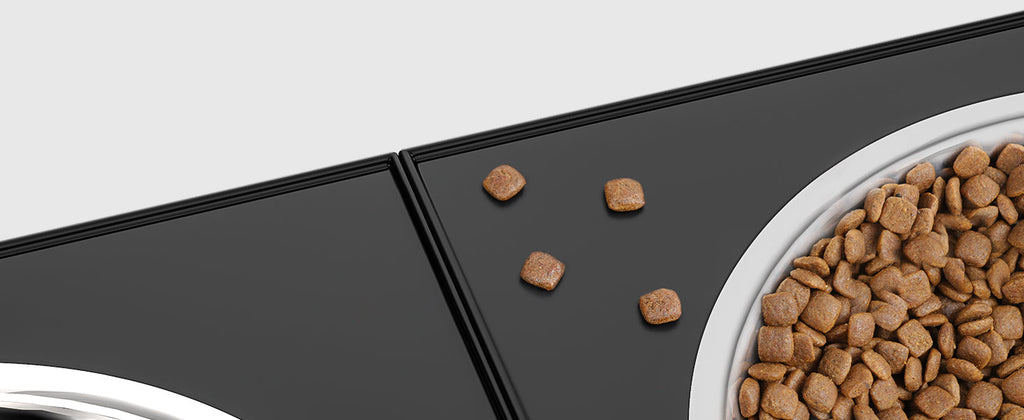 ee397cf7-9996-4fd6-84ce-ae4c79644f80