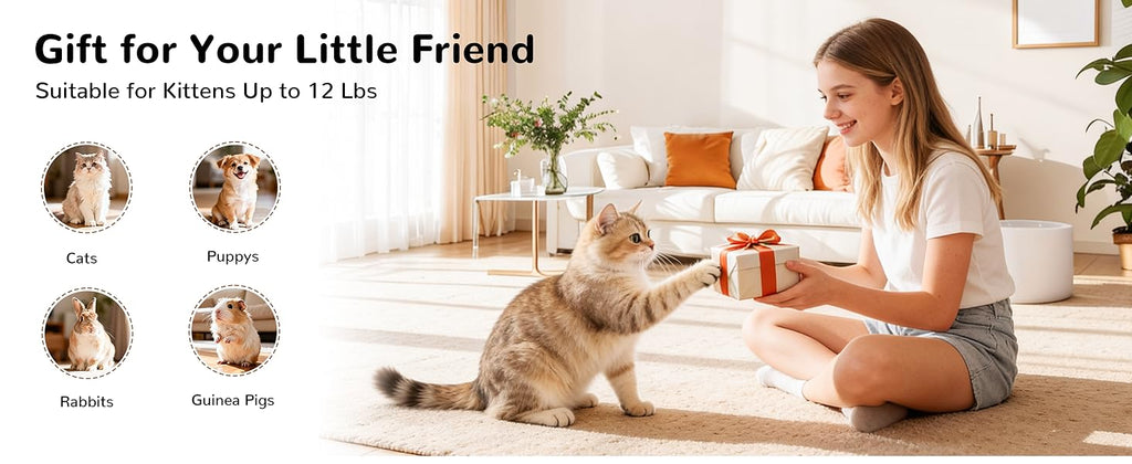 e58802f3-3993-4b63-85df-df43e9d6ce04