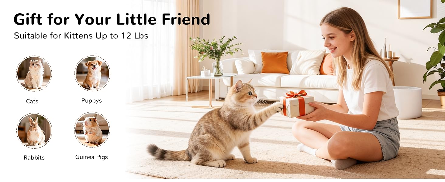 e58802f3-3993-4b63-85df-df43e9d6ce04