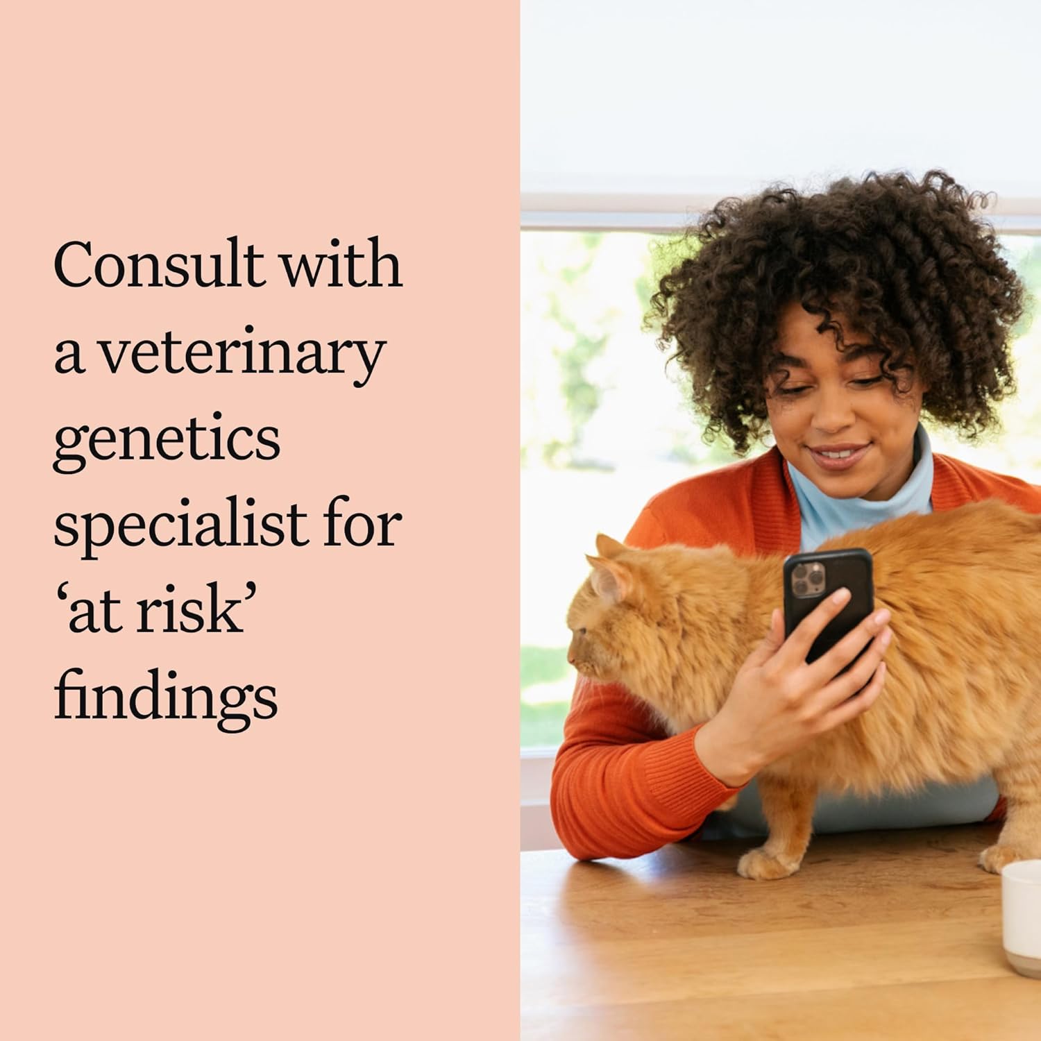 ec437b85-9ed0-4e4f-ba95-918e08af7377