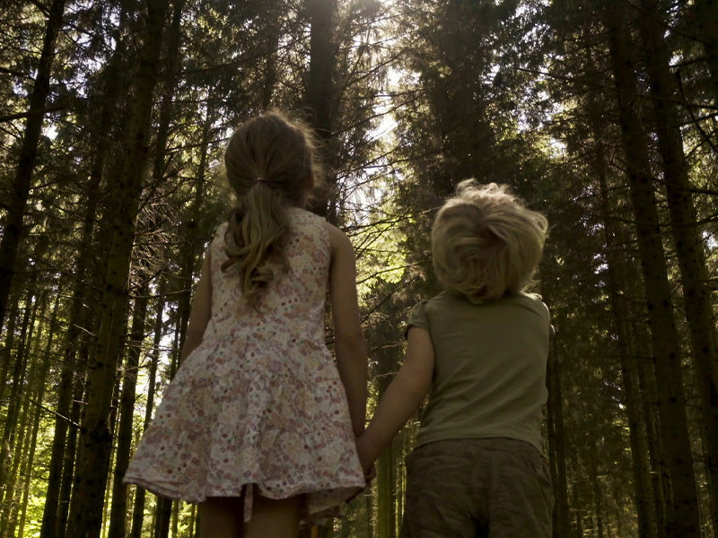 eb3112f7-2121-4859-8449-31656737a179