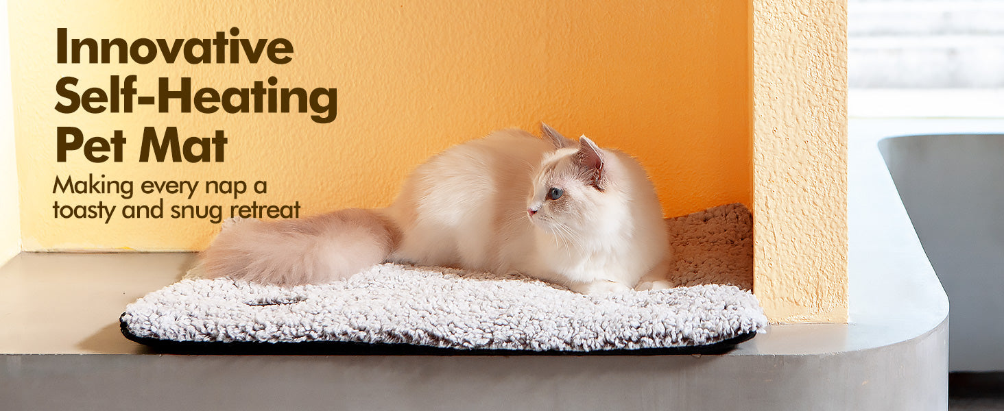 53869147-529c-4b9f-bd61-555ce9044b17