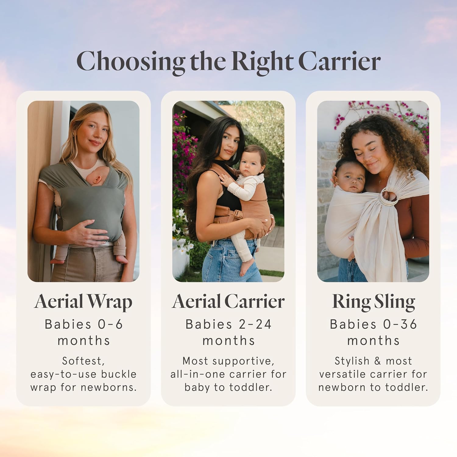 6a512c05-7252-460a-bc48-c7bf0dda0931