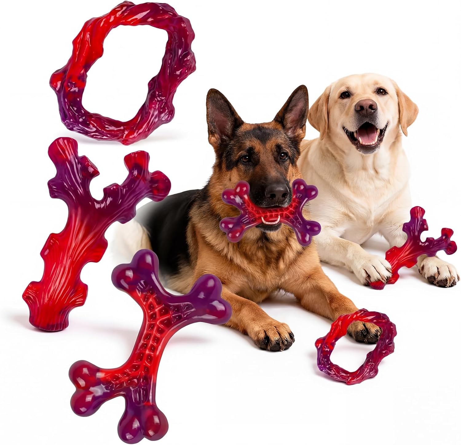 cf1acc22-d5d9-4ec5-8117-4846ef8232c3