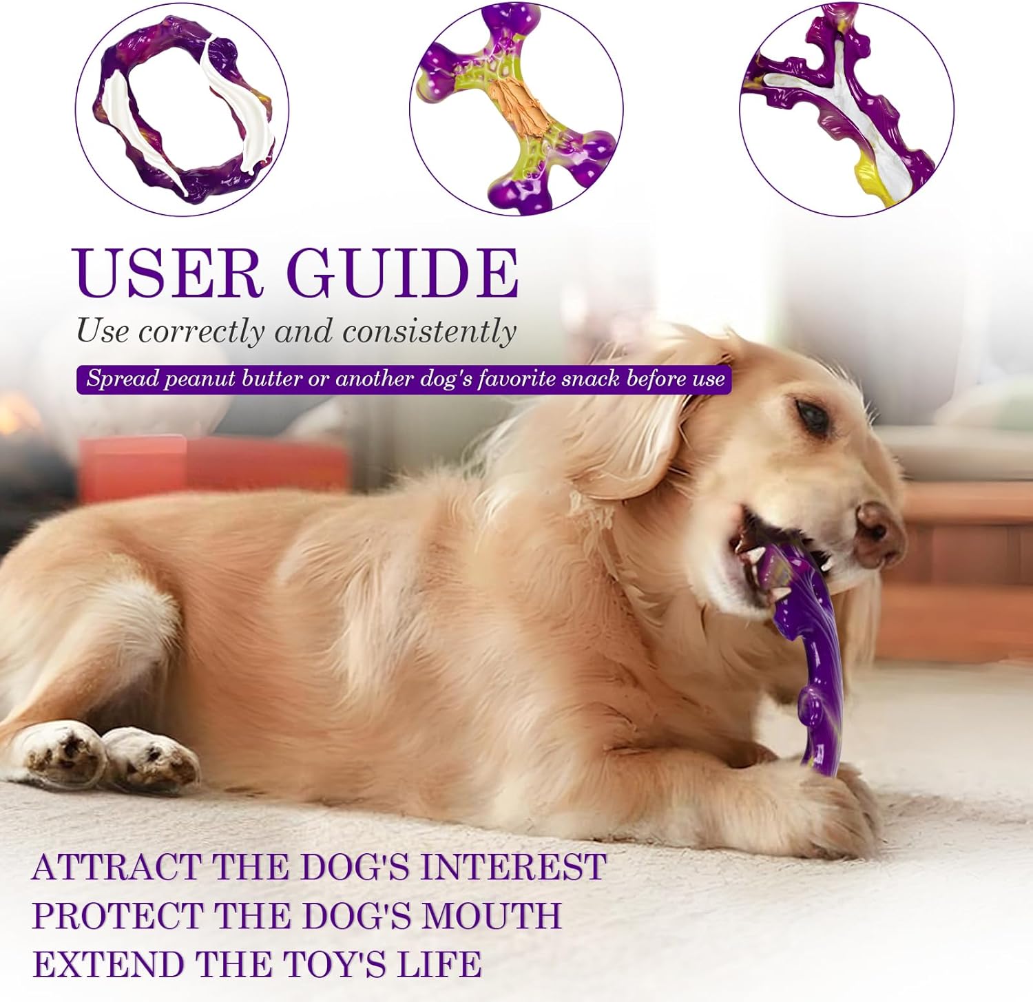 1e2cf1ba-34aa-4759-a903-930773c7c01b